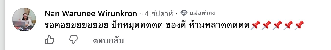 ภาพหน้าจอคอมเมนต์จริงของ Nan Warunee Wirunkron ใต้โพสต์เปิดคอร์ส The Project
